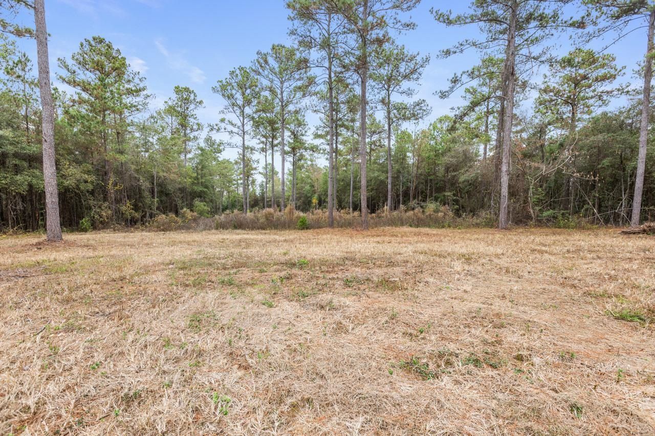 81 Old Tung Grove Road, Monticello, FL 32344 Photo