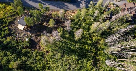1037 Snow Crest Road, Alpine Meadows, CA 96146 Photo