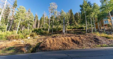 1037 Snow Crest Road, Alpine Meadows, CA 96146 Photo