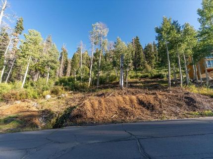 1037 Snow Crest Road, Alpine Meadows, CA 96146 Photo
