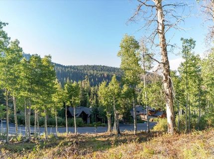 1037 Snow Crest Road, Alpine Meadows, CA 96146 Photo
