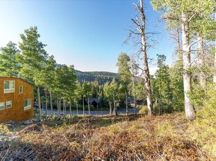 1037 Snow Crest Road, Alpine Meadows, CA 96146 Photo