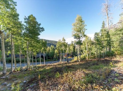 1037 Snow Crest Road, Alpine Meadows, CA 96146 Photo
