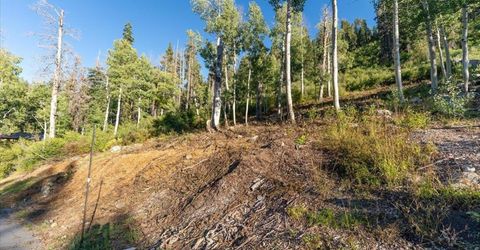 1037 Snow Crest Road, Alpine Meadows, CA 96146 Photo