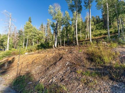 1037 Snow Crest Road, Alpine Meadows, CA 96146 Photo