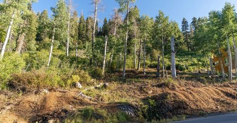 1037 Snow Crest Road, Alpine Meadows, CA 96146 Photo