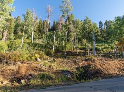 1037 Snow Crest Road, Alpine Meadows, CA 96146 Photo