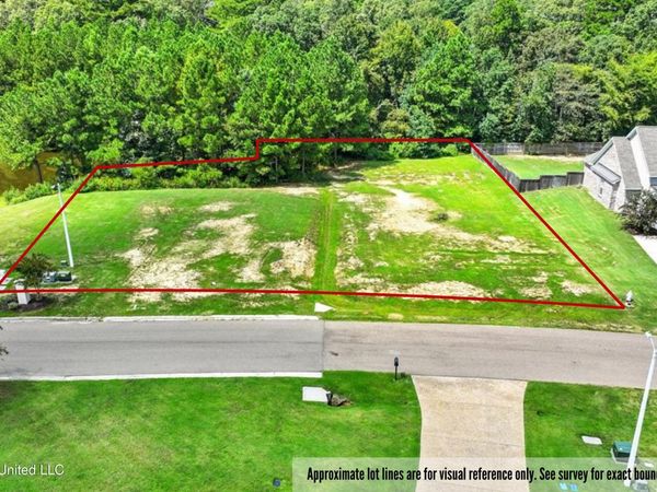 Asbury Lane Drive, Pearl, MS 39208