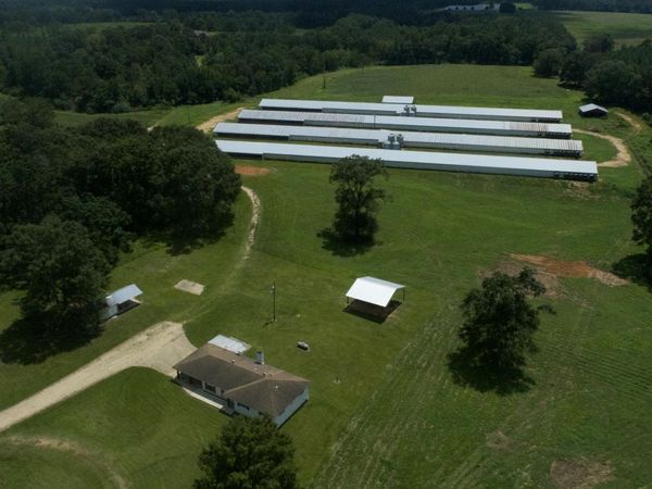 454 Highway 586, Foxworth, MS 39483