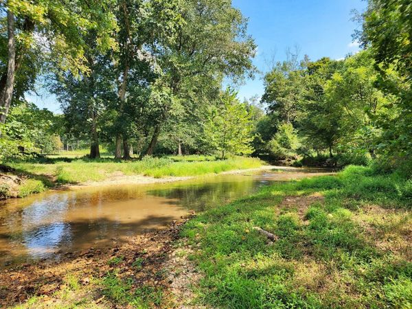 8312 Middle Butler Rd, Iron City, TN 38463