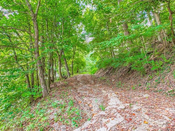 0 Brick Church Pike, Whites Creek, TN 37189