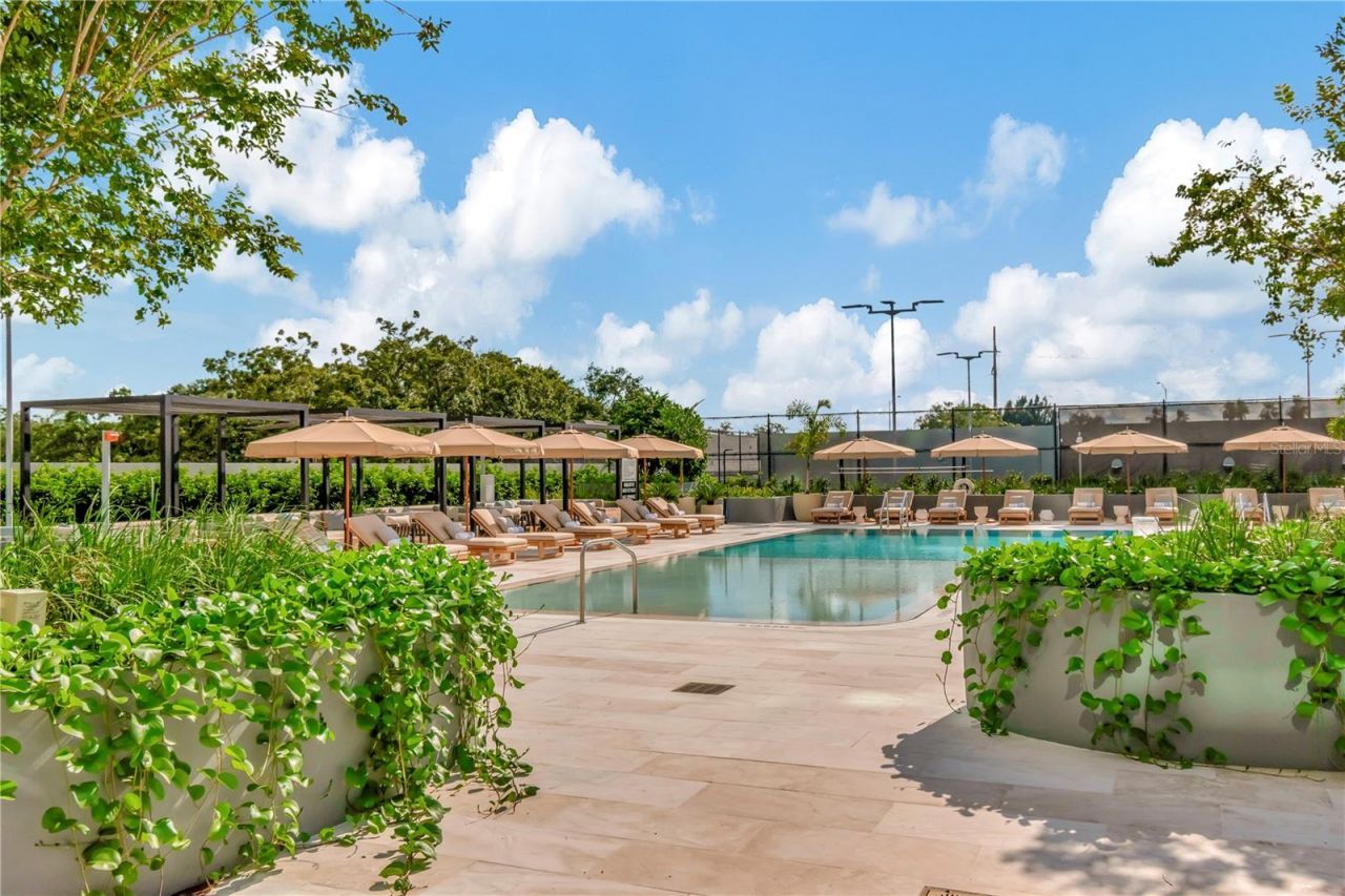 3101 Bayshore Boulevard, Unit 2501, Tampa, FL 33629 Photo