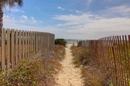 716 E Arctic Avenue photo 4