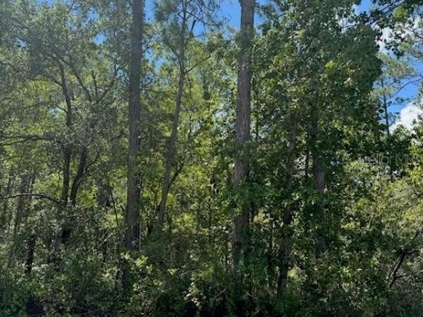 10345 GREGORY AVENUE, HASTINGS, FL 32145