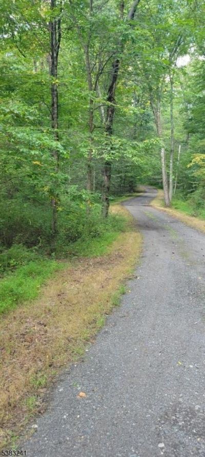 13 Ridge Rd, East Amwell, NJ 08525 Main Photo