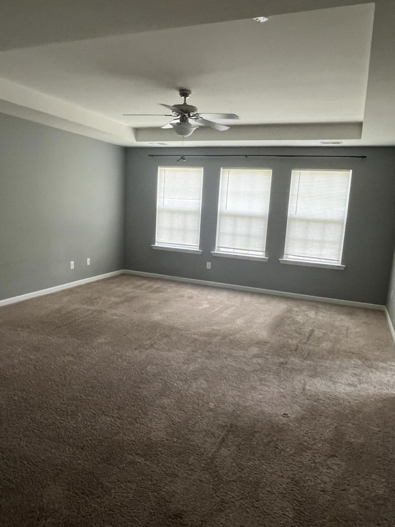 1150 Moss Grove Drive Photo 11