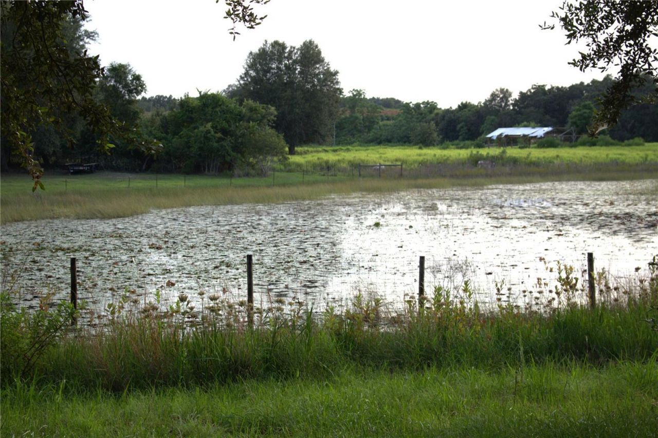 18301 S Obrien Road, Groveland, FL 34736 Photo