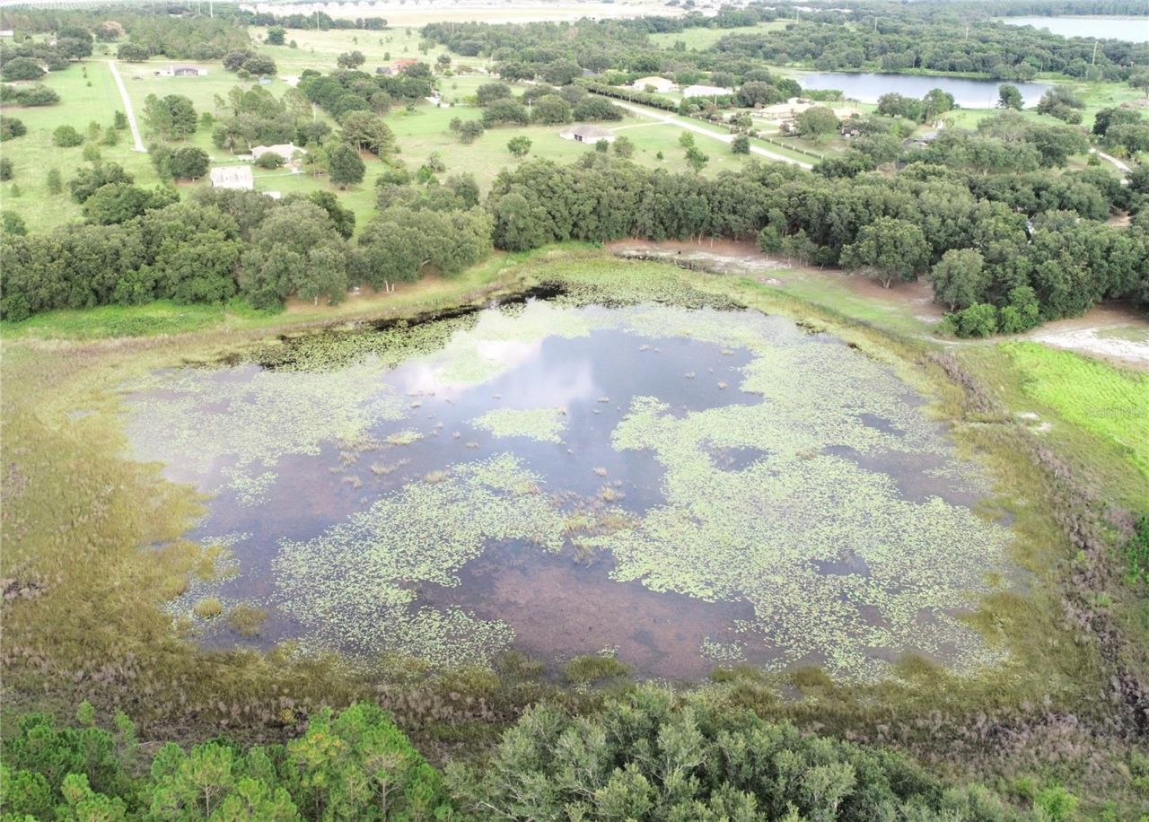 18301 S Obrien Road, Groveland, FL 34736 Photo