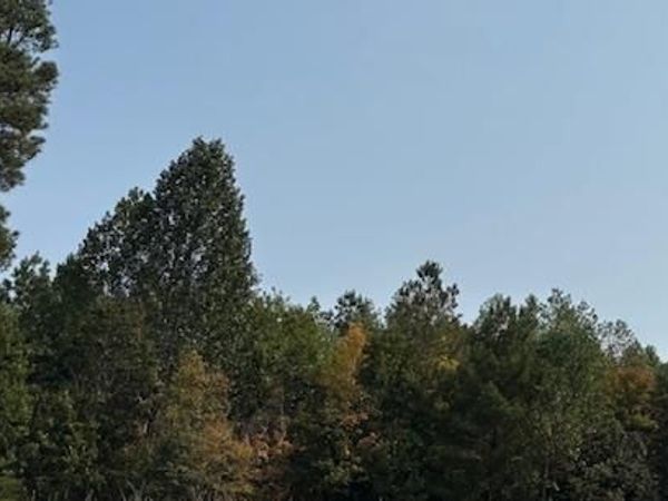 28-14,15 Luttrellville Lane, FARNHAM, VA 22460