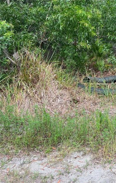 15514 Martinique Way, Bokeelia, FL 33922 Photo