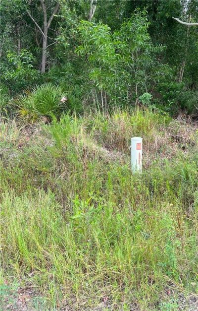 15514 Martinique Way, Bokeelia, FL 33922 Photo