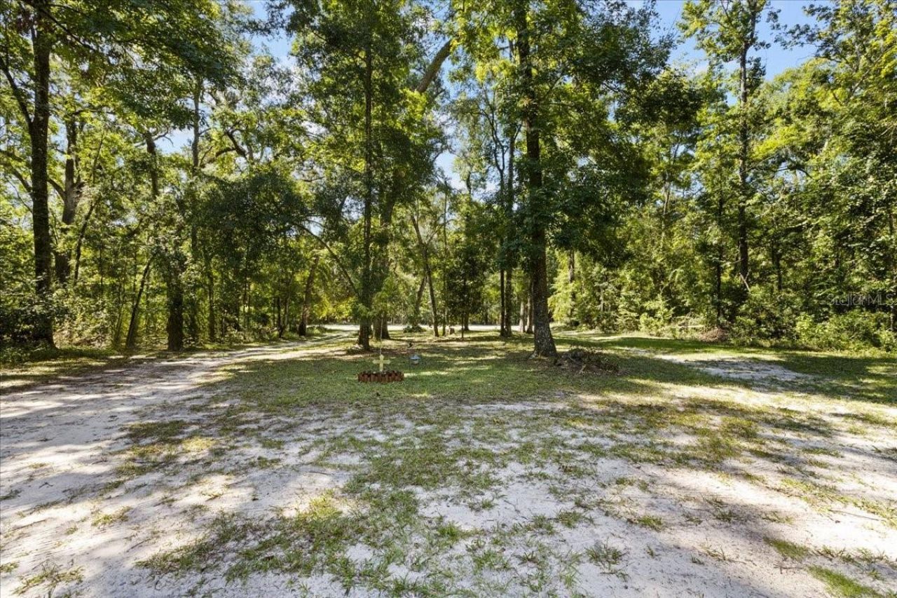 4135 290th Terrace, Branford, FL 32008 Photo