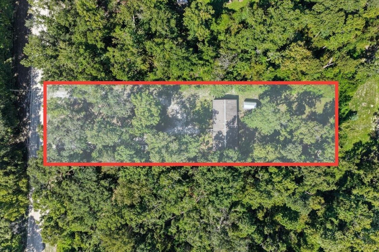 4135 290th Terrace, Branford, FL 32008 Photo