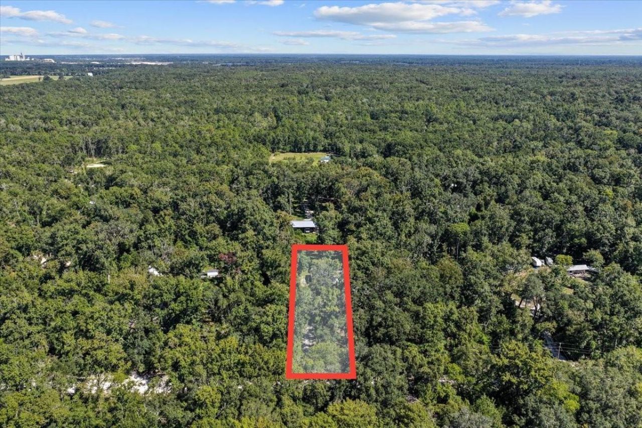 4135 290th Terrace, Branford, FL 32008 Photo