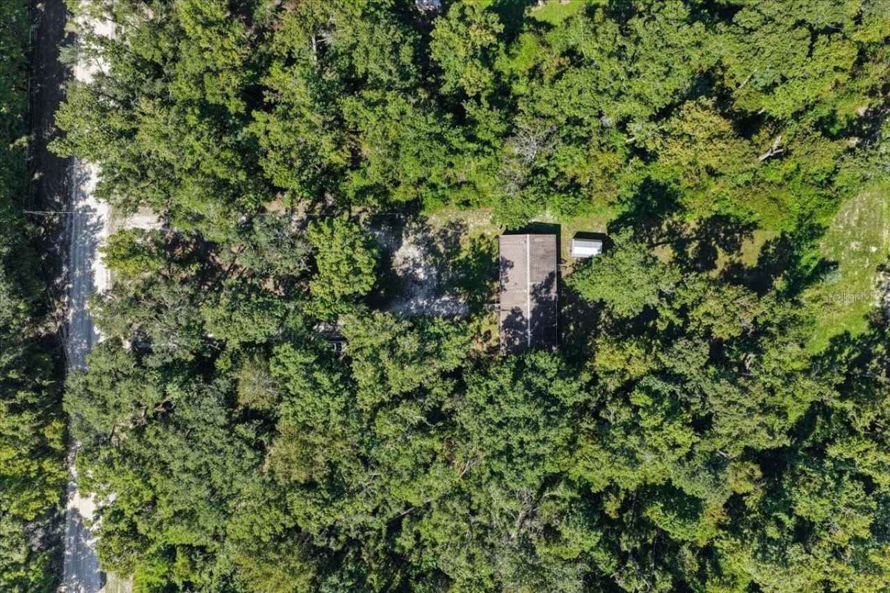 4135 290th Terrace, Branford, FL 32008 Photo