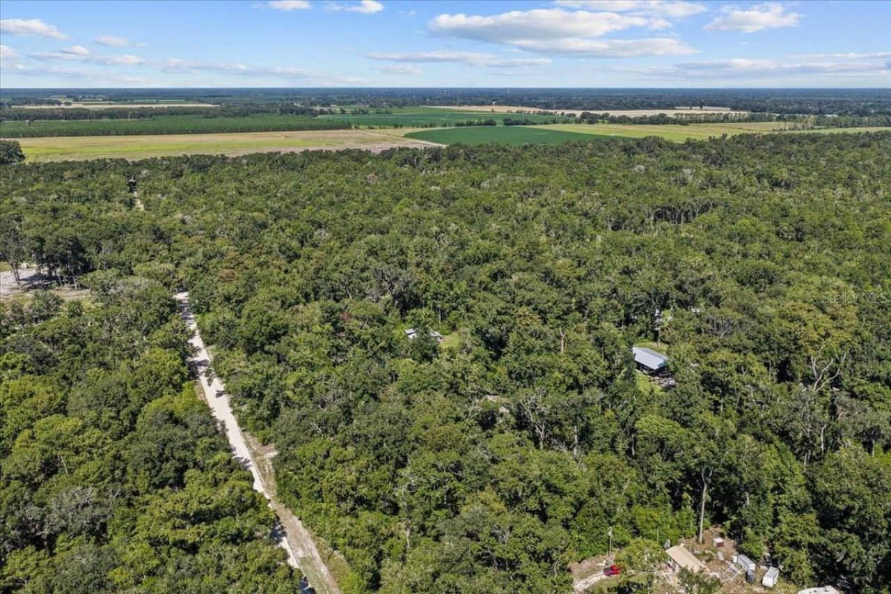 4135 290th Terrace, Branford, FL 32008 Photo