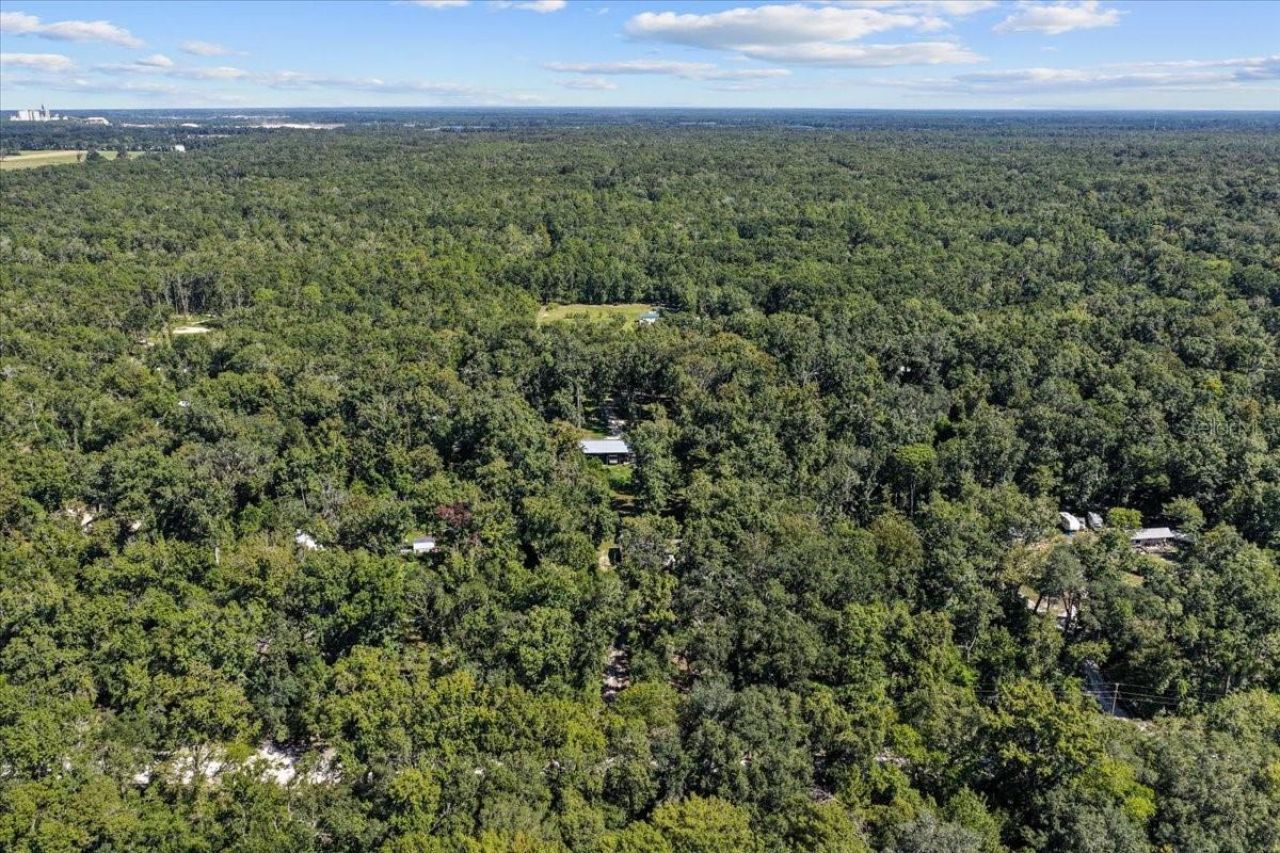 4135 290th Terrace, Branford, FL 32008 Photo