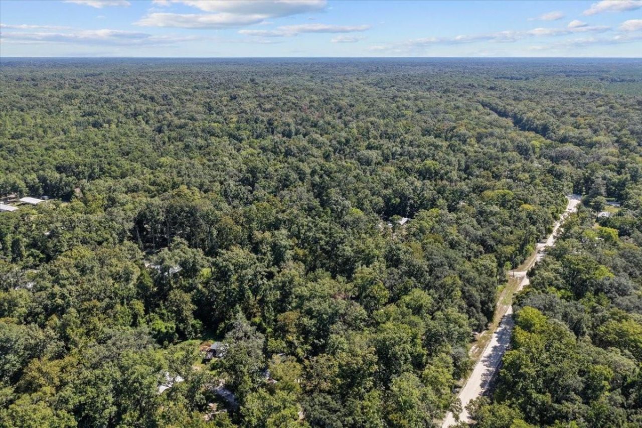 4135 290th Terrace, Branford, FL 32008 Photo