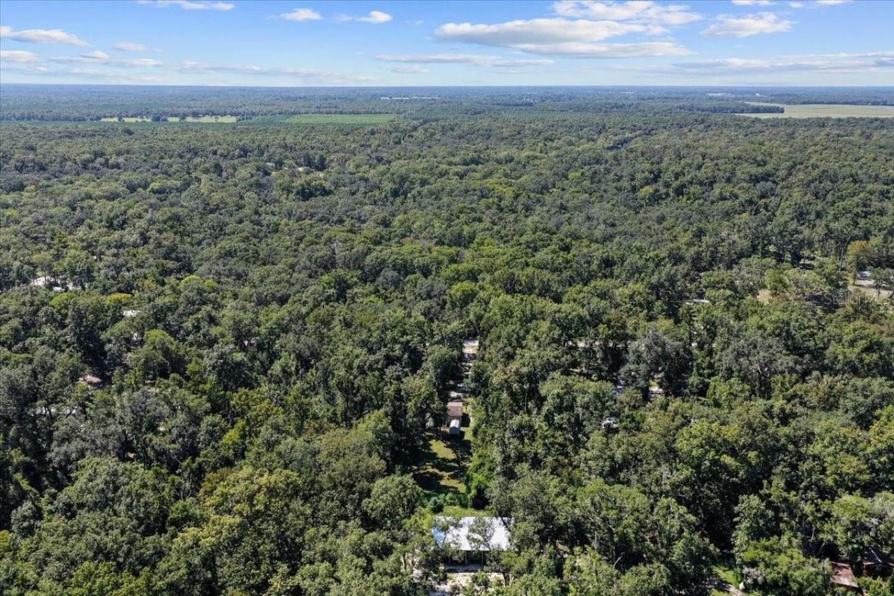 4135 290th Terrace, Branford, FL 32008 Photo