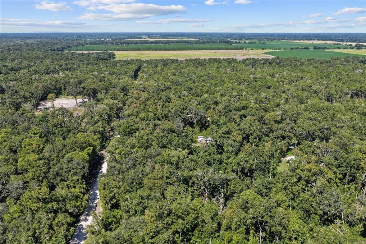 4135 290th Terrace, Branford, FL 32008 Photo