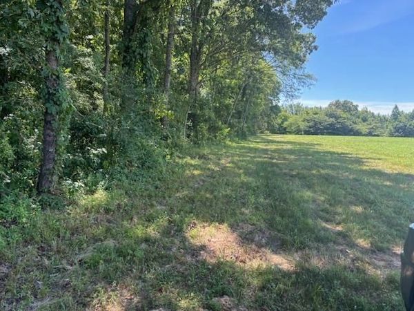 196 BOYD LN, Stanton, TN 38069