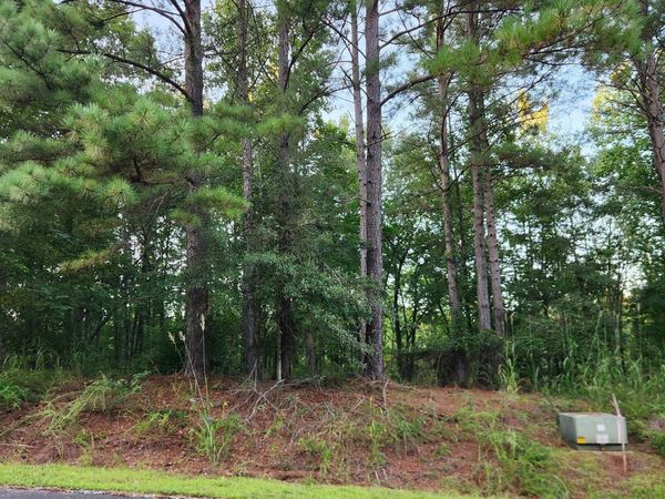 115 Scenic Ridge Drive , Mooresboro, NC 28114