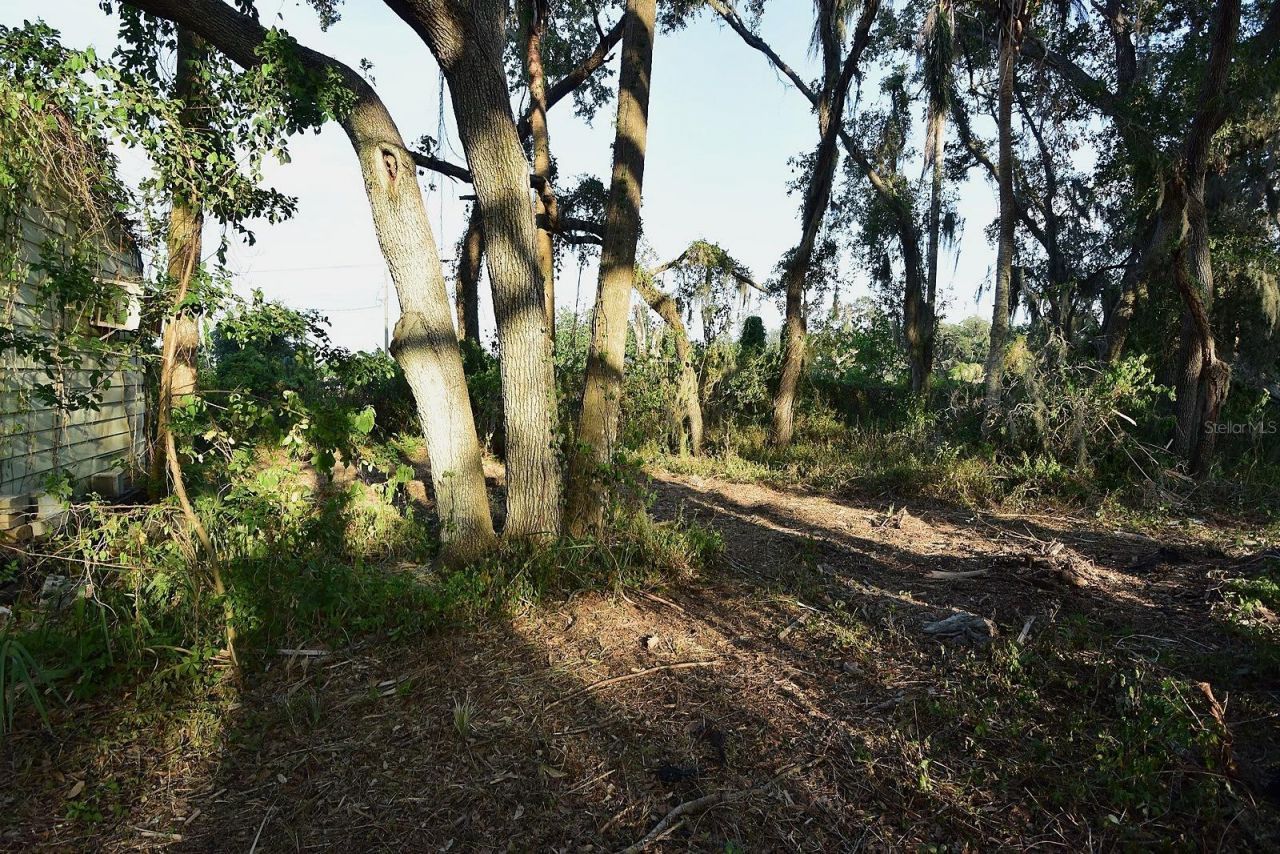 7610 Anna Avenue, Gibsonton, FL 33534 Photo