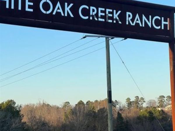 Lot 20 Private 3398 Road, Big Sandy, TX 75755