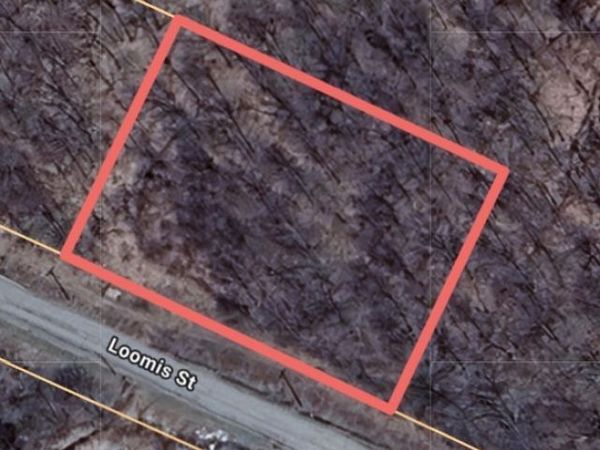 Loomis Street, Little Falls, NY 13365