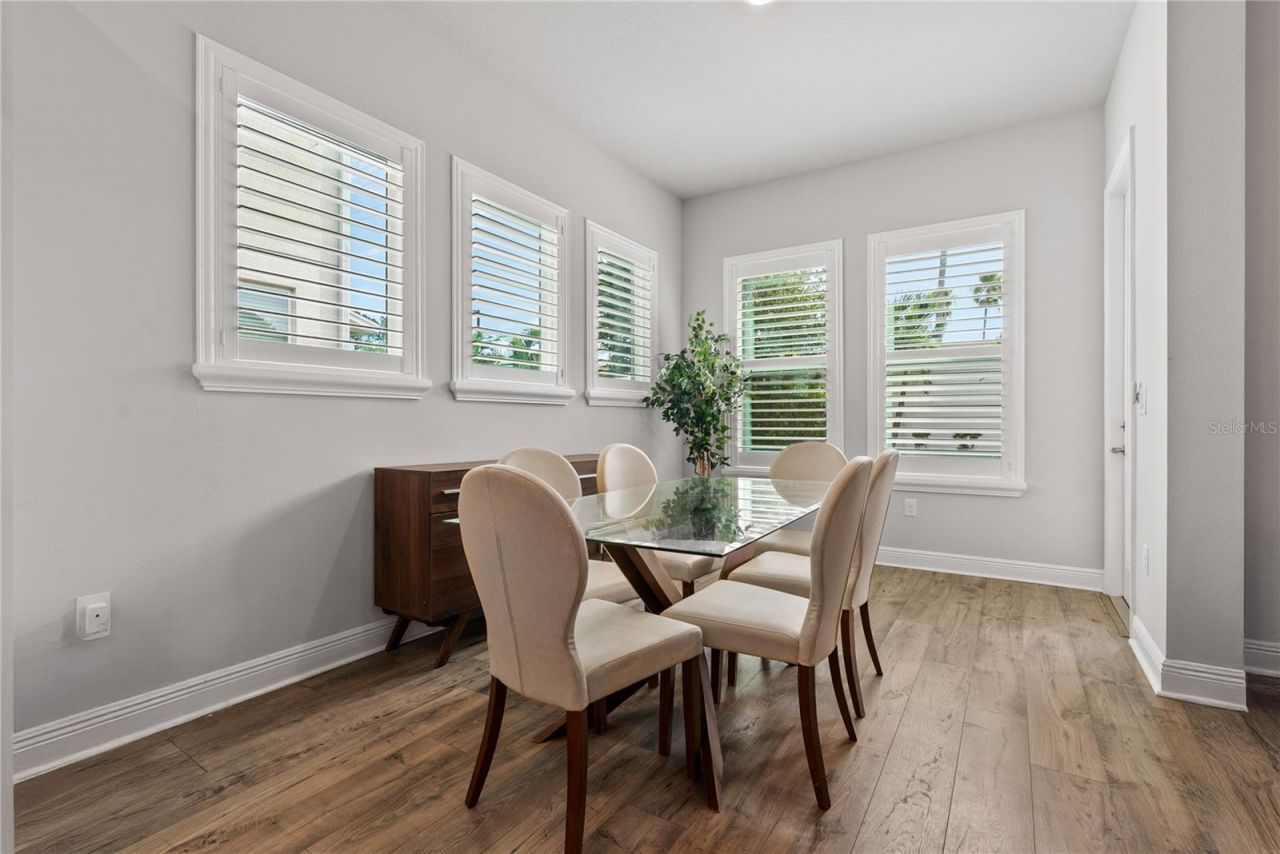 16409 Lucia Gardens Lane, Tampa, FL 33625 Photo