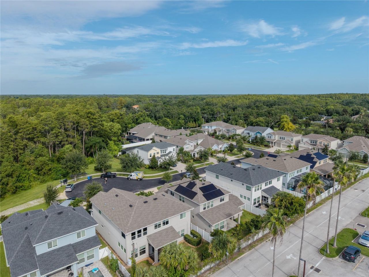 16409 Lucia Gardens Lane, Tampa, FL 33625 Photo