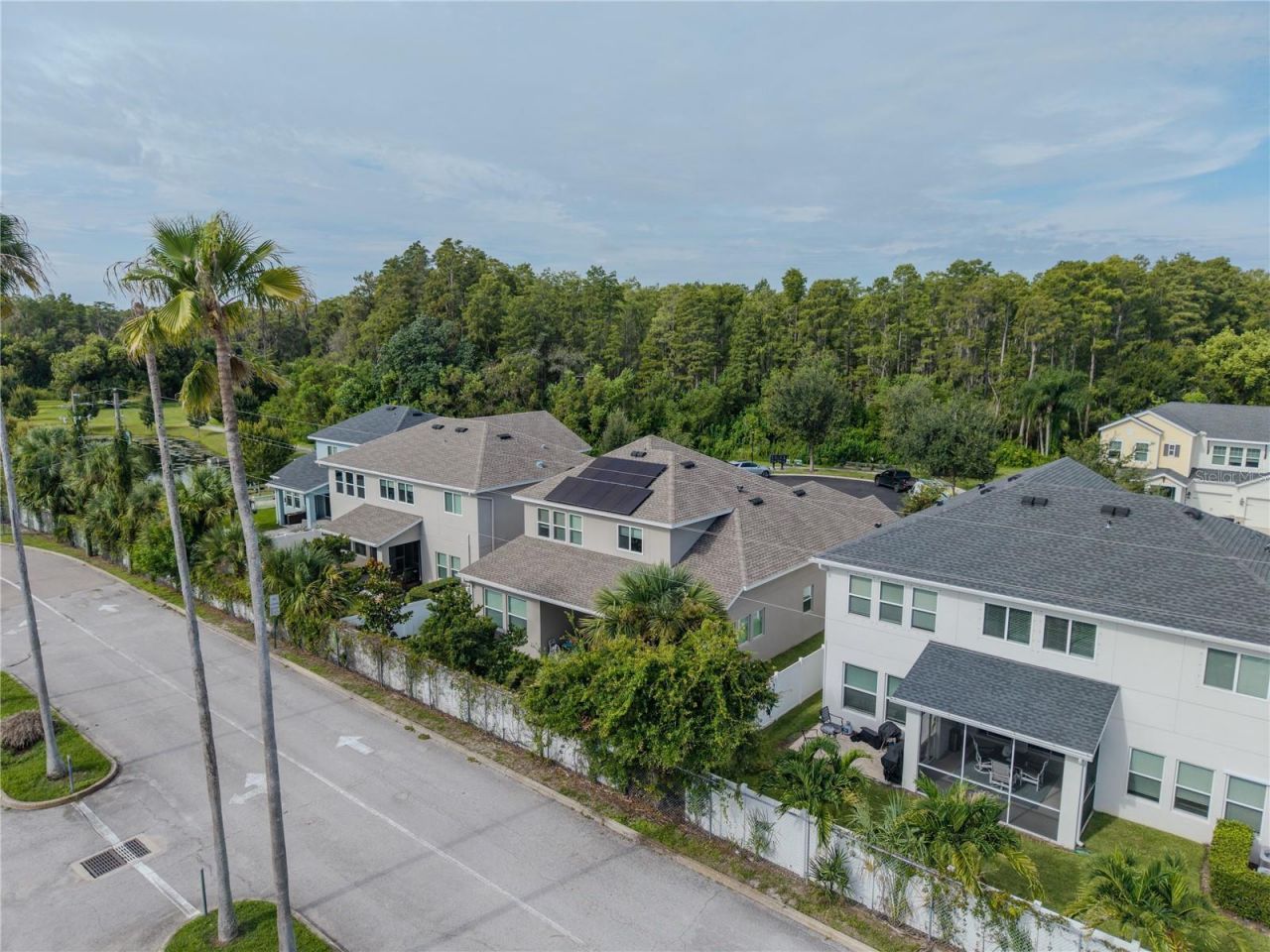 16409 Lucia Gardens Lane, Tampa, FL 33625 Photo