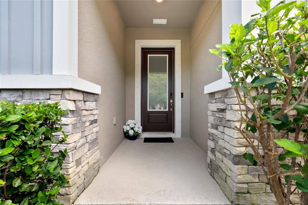 16409 Lucia Gardens Lane, Tampa, FL 33625 Photo