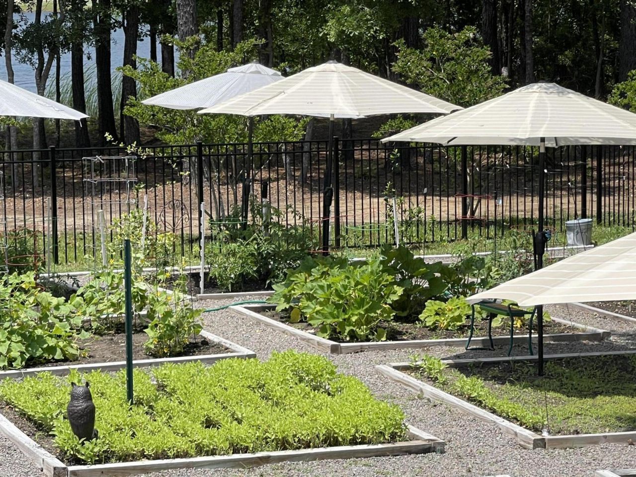 769 Bulls Bay Boulevard Photo 34