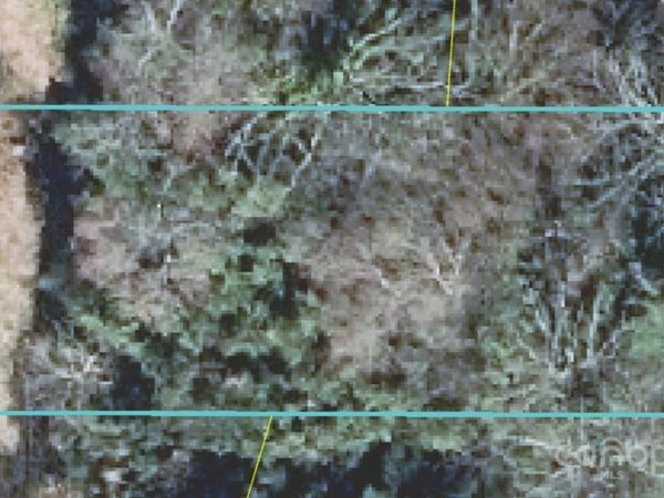 826 N Avon Street, Gastonia, NC 28054