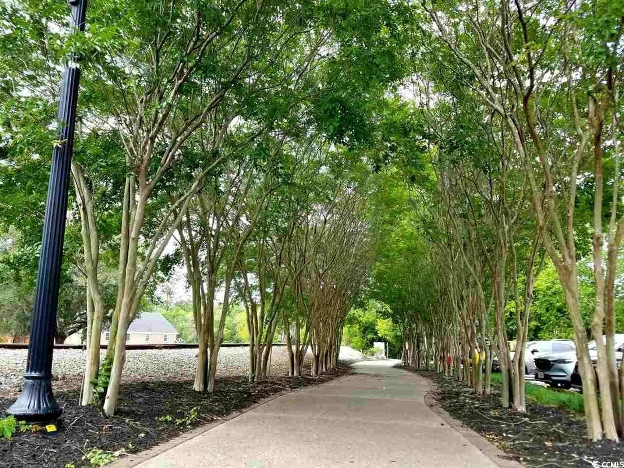 302 Kiskadee Loop Photo 36