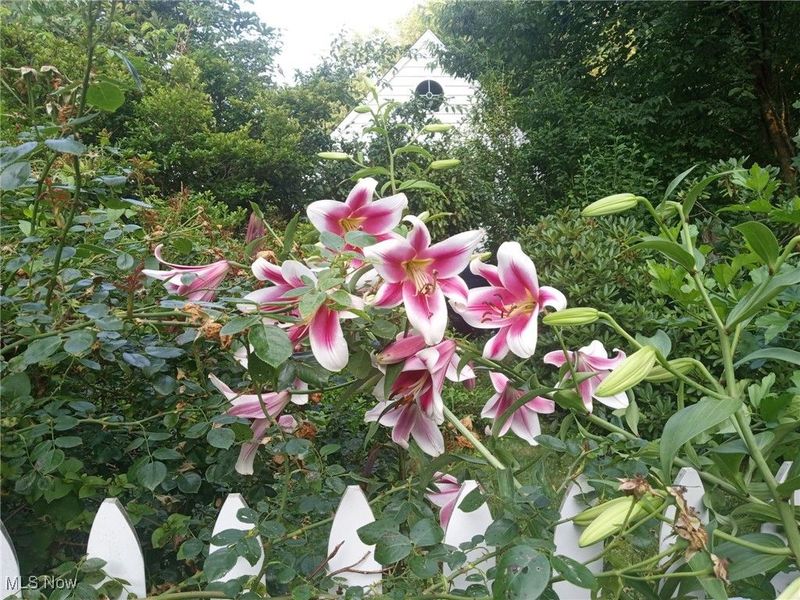 3431 Enfield Avenue NW, Canton, OH 44708 Photo 31