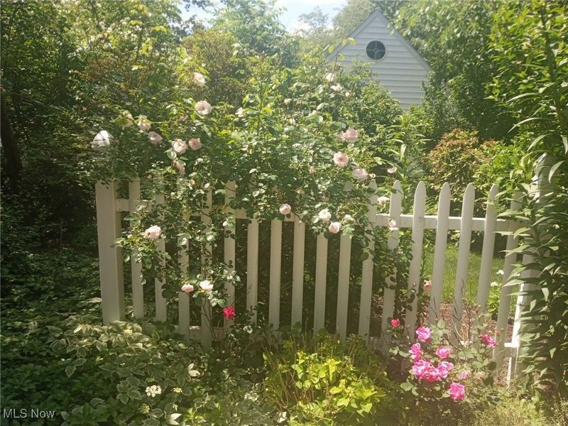 3431 Enfield Avenue NW, Canton, OH 44708 Photo 32