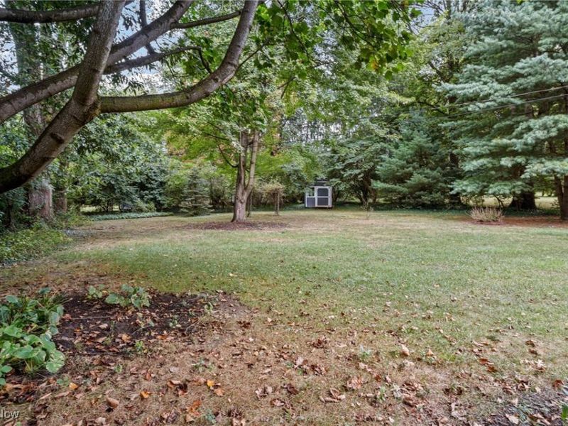 3431 Enfield Avenue NW, Canton, OH 44708 Photo 5