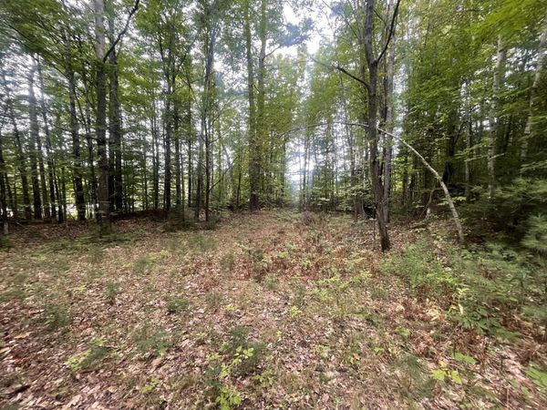 R6L38B New Vineyard Road, New Vineyard, ME 04956